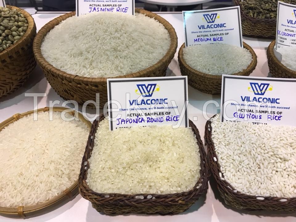 Importing New Crop GLUTINOUS (STICKY RICE) from Vietnamese manufacturer with the most competitive price