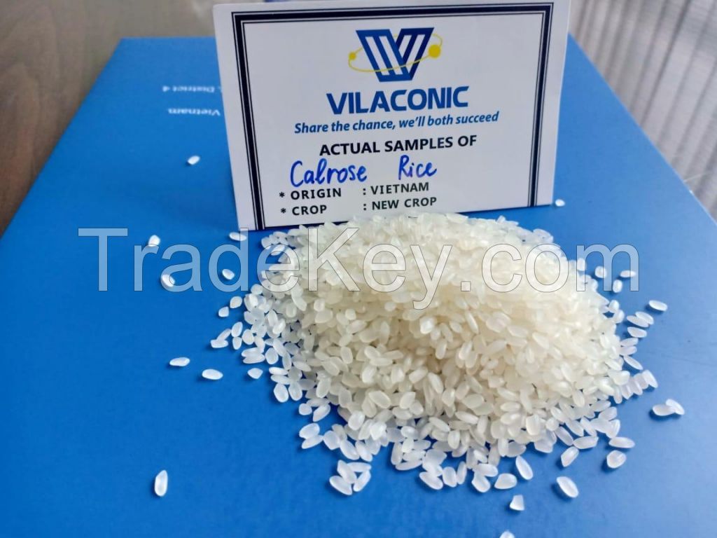 New Crop CALROSE RICE from Vietnamese manufacturer with the most competitive price