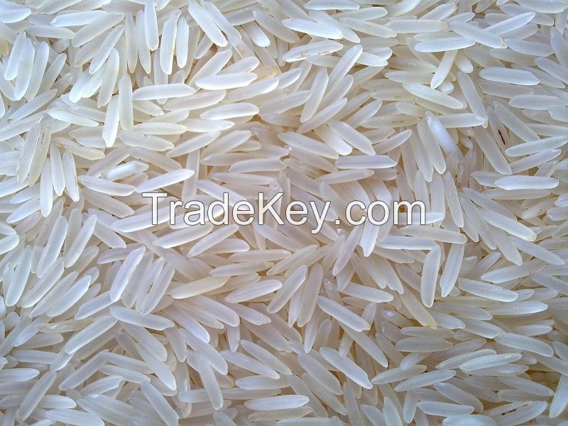 Importing ST 24 RICE (LONG GRAIN, FRAGRANT) directly from Vietnamese manufacturer