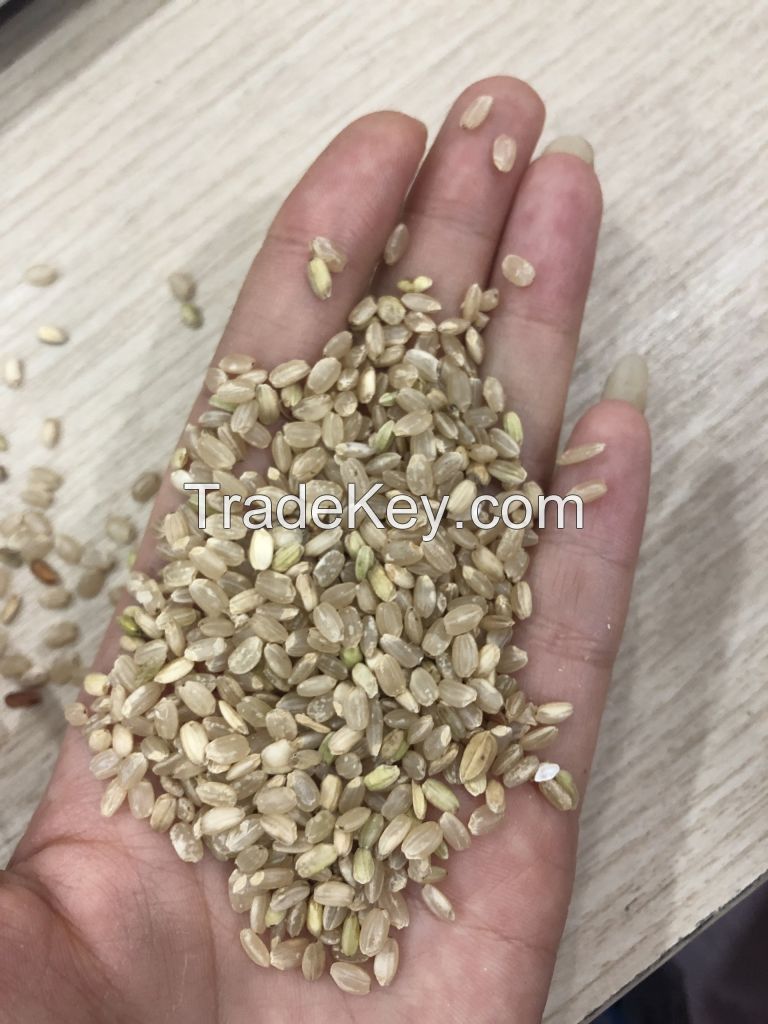 Importing JAPONICA BROWN RICE with the most competitive rice from Vietnamese manufacturer