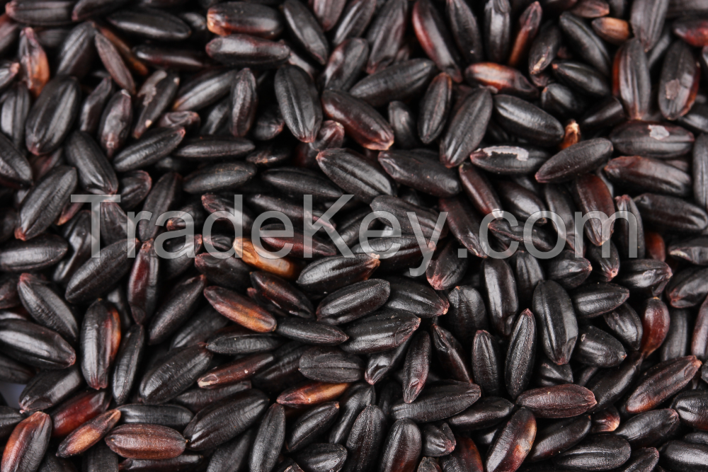 Premium quality BLACK RICE with the most competitive rice from Vietnamese manufacturer