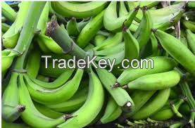 Dry plantain, Chips and Flour