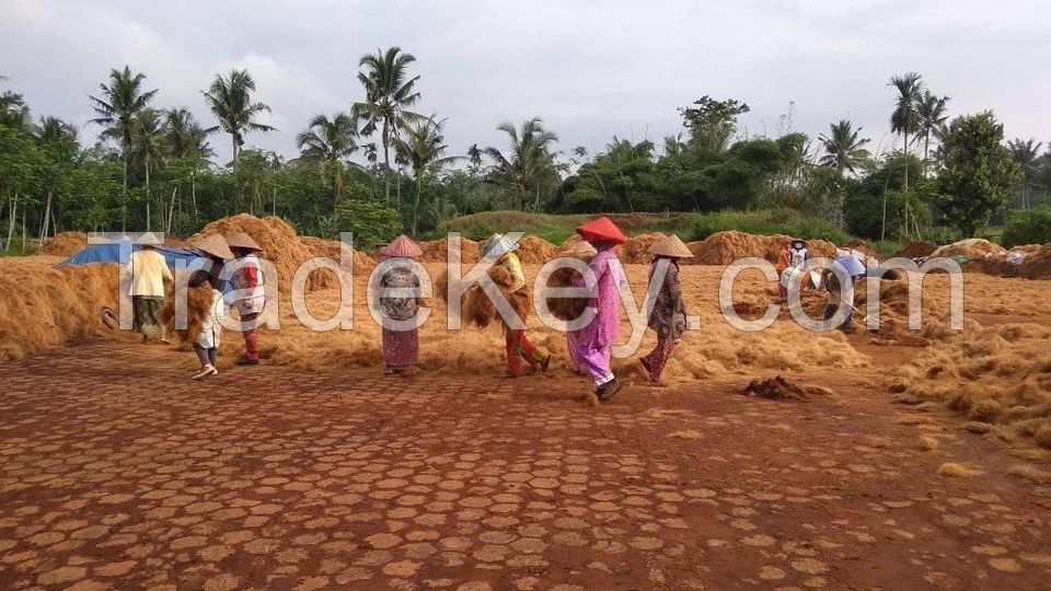 Coconut Fiber / Coconut peat