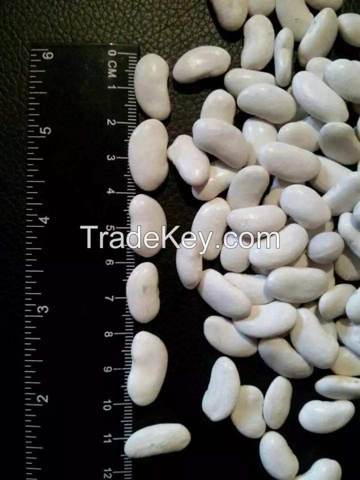 White Kidney Beans