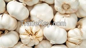 ORGANIC RAW GARLIC