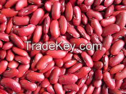 Red Kidney Bean, Gojam Type