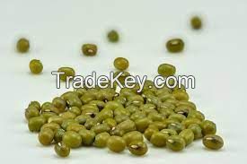 Green Mung Beans