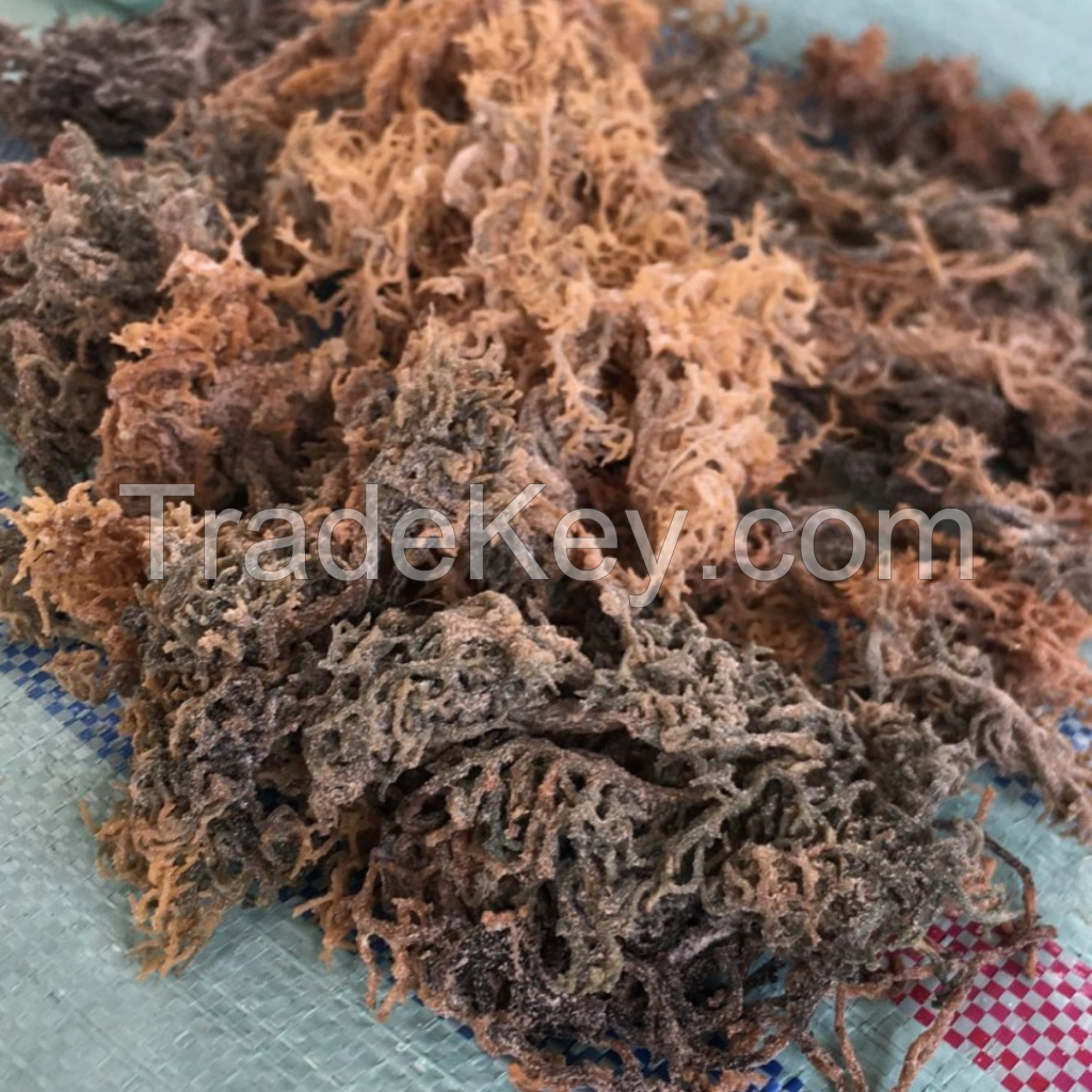 Dried Cottonii Seaweed