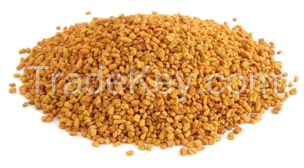 Fenugreek Seed