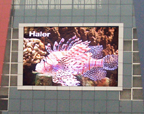 outdoor LED display  screen