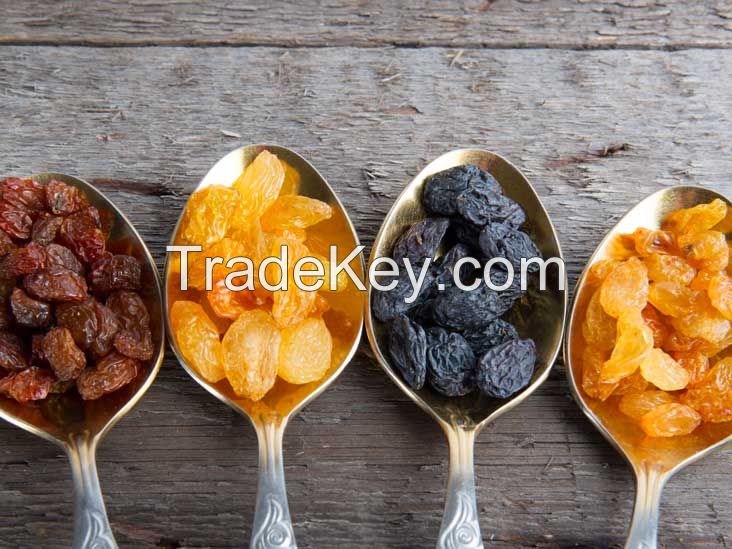 Kourosh Dried Fruits and Legumes Industry