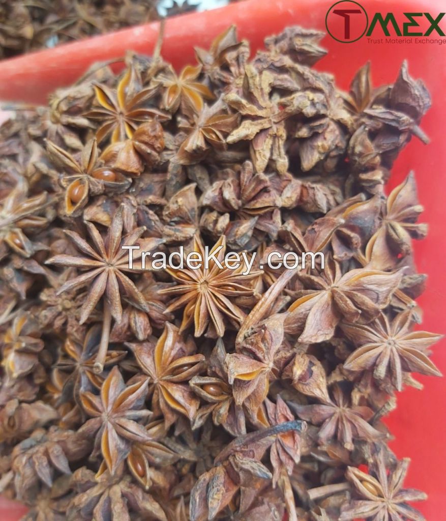 Whole Star Anise Newest Crop Global Exporter of Spices Star Anise Best Seller Products From Vietnam