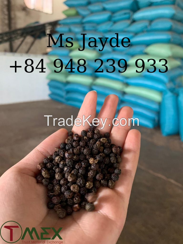 black pepper 550gl vietnam herb and spices product best selling product in Tmex