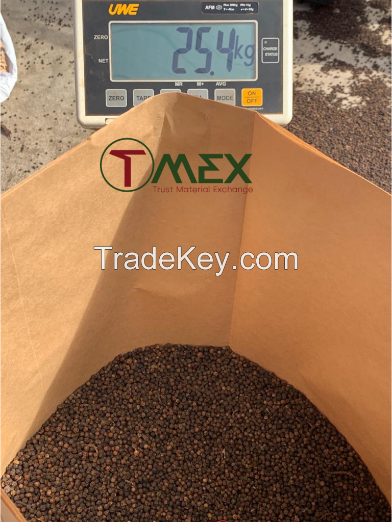 black pepper 550gl vietnam herb and spices product best selling product in Tmex