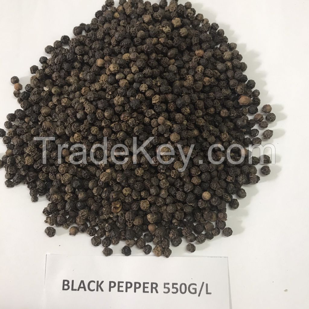 vietnam black pepper 550 gl hot spicy high quality product 