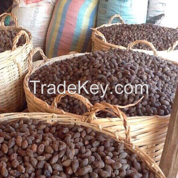 Malva Nut High Quality Good Price From Vietnam 2022 Ms.Karina +84 39 979 4665