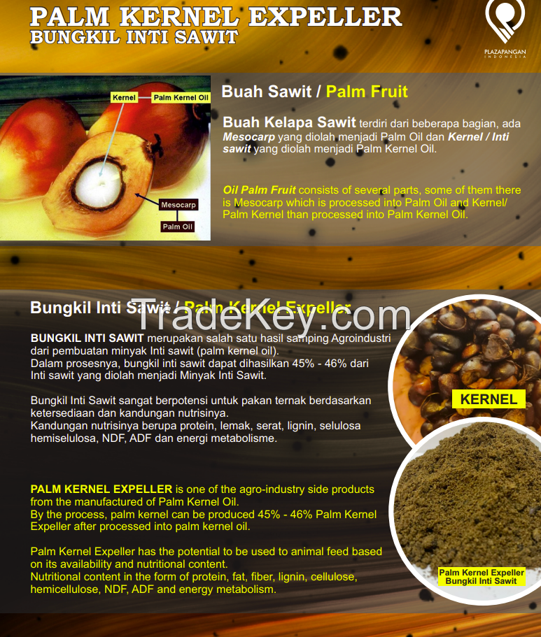 PALM KERNEL EXPELLER