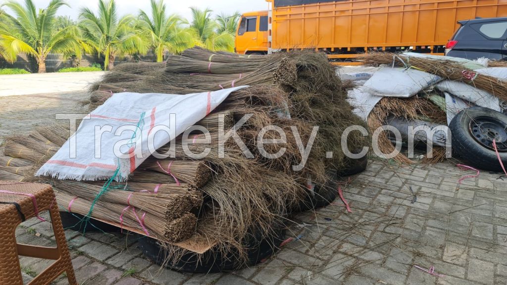 PALM BROOM STICK