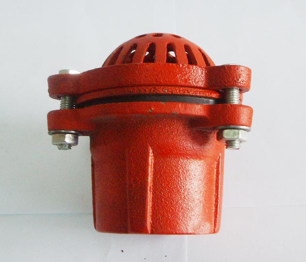 Foot Valve