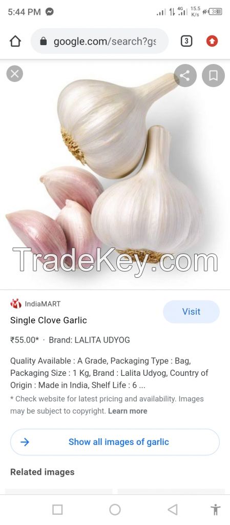 Garlic