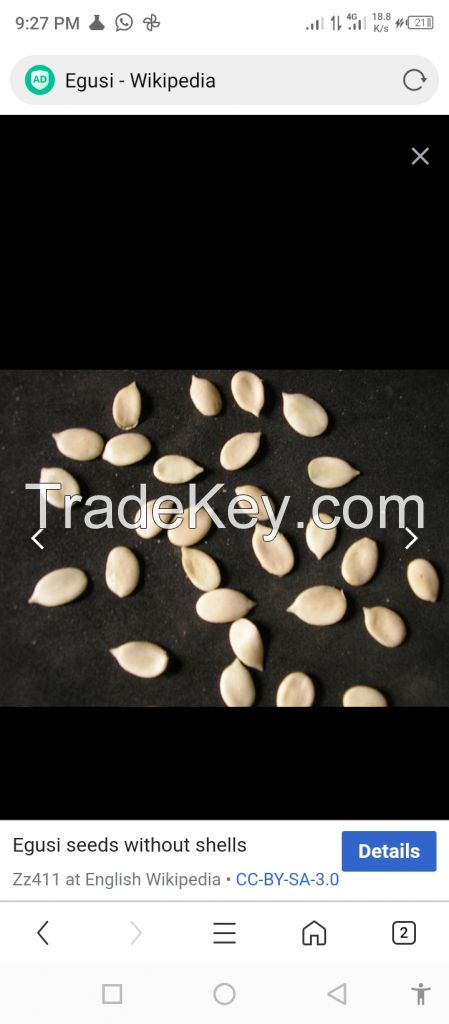 Cashew Nuts