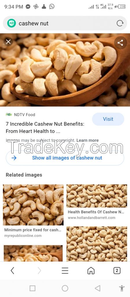 Cashew Nuts