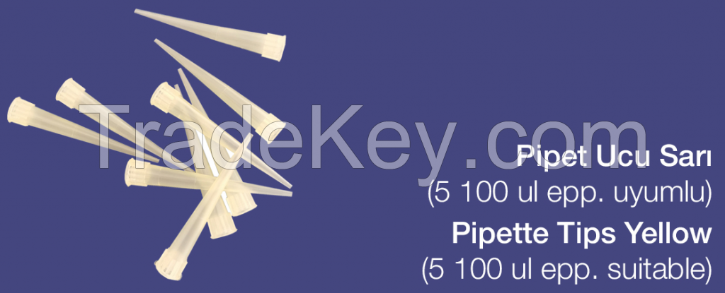 Test and Centrifuge Tubes