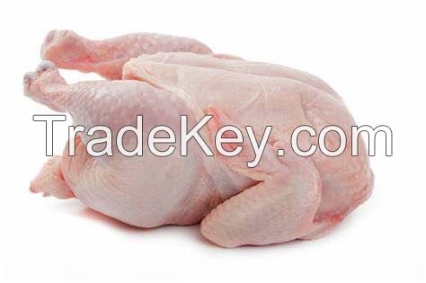 rozen Halal Chicken Feet Fresh Frozen Chicken Parts Halal Grade &quot;A&quot; Brazilian Chicken HALAL BONELESS SKINLESS AA Grade POULTRY