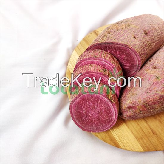 Purple Sweet Potato