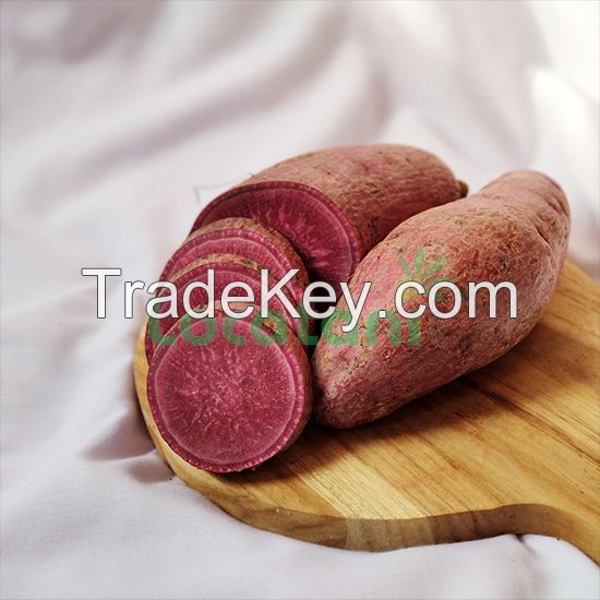 Purple Sweet Potato