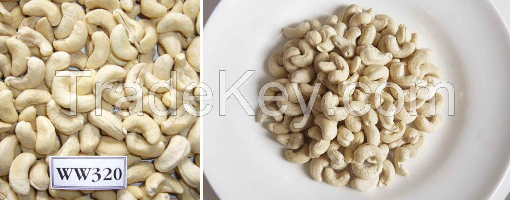 Vietnam Cashew Nuts WW320