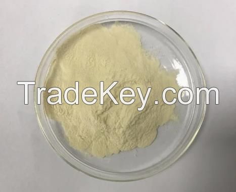 Wholesale Private Label Organic Vegan Pea Protein Isolate Powder