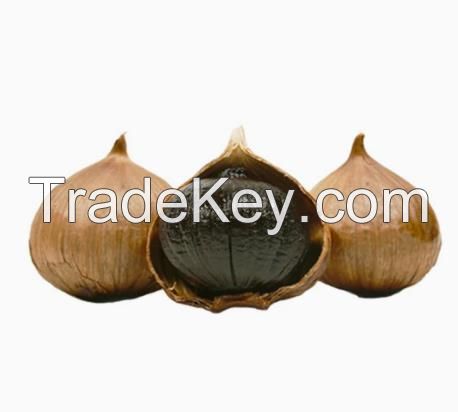 Organic Nutritious Health Multiple Clove Black Garlic Offer Free Sample