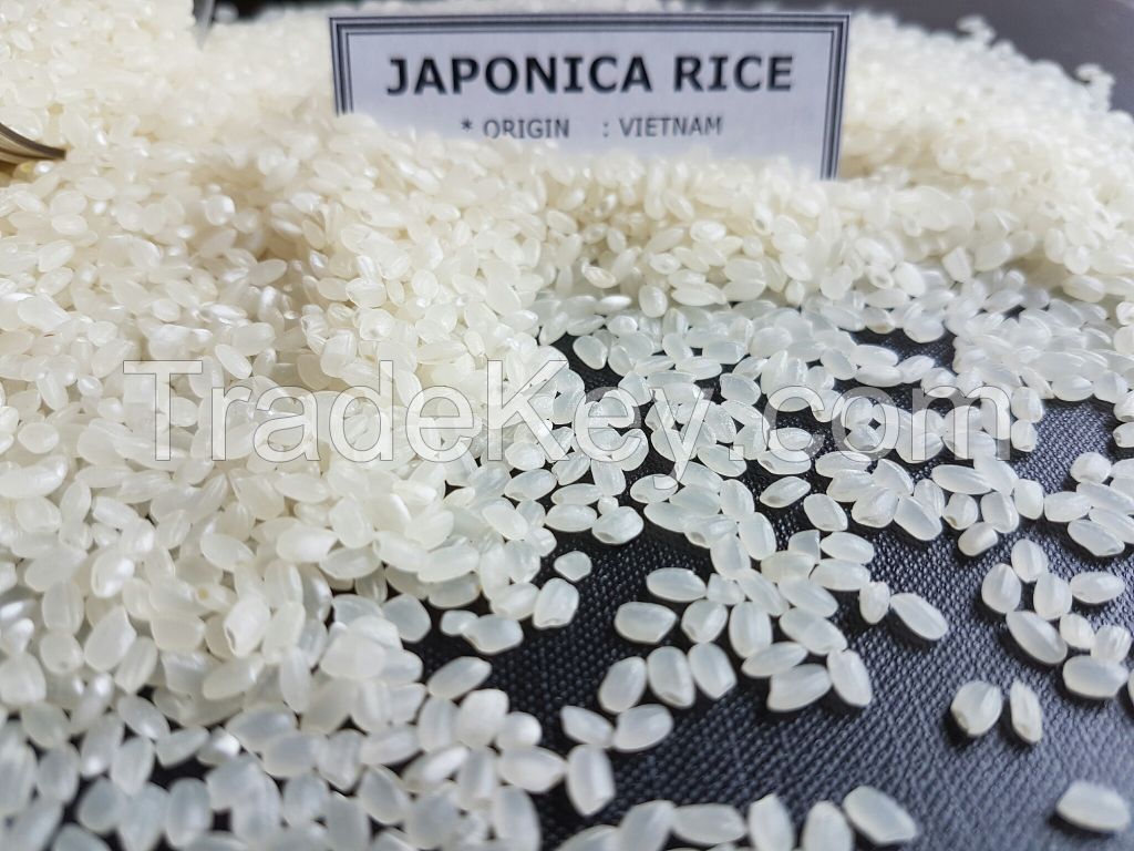 Japonica Rice/Sushi Rice/Round Rice