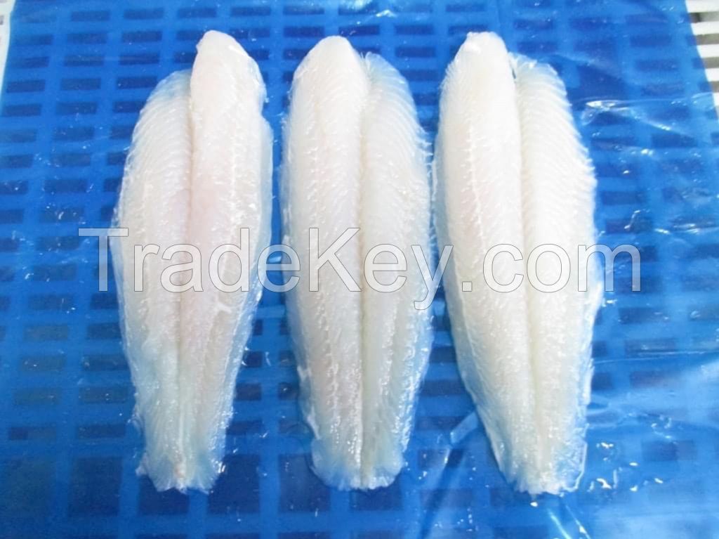 Frozen Pangasius Fillet/ Dory Cream Fillet 