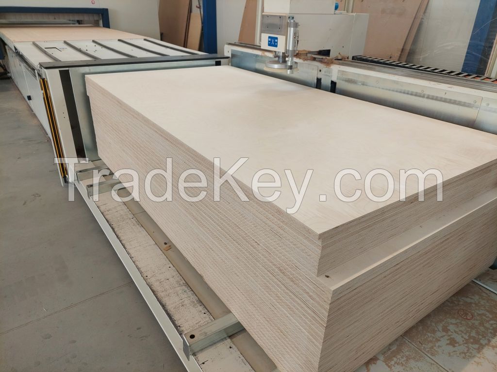 Birch plywood