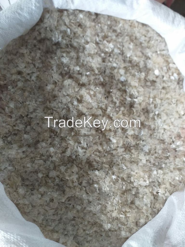 Dried Fish Scale