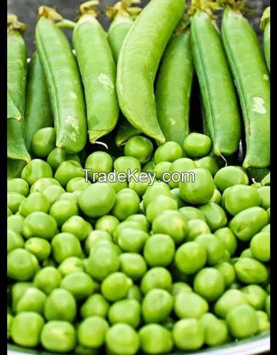 Green Peas