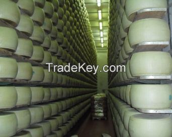 Milk to cheese processing equipment: design and OEM