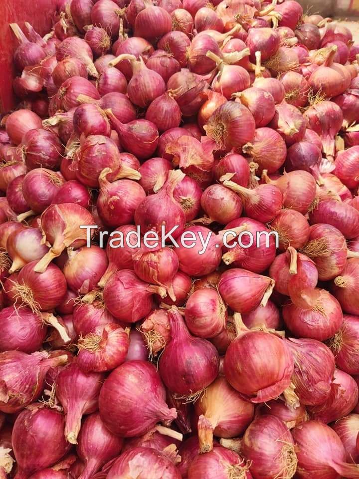 Egusi melon seeds, spices, crayfish, cashew nut