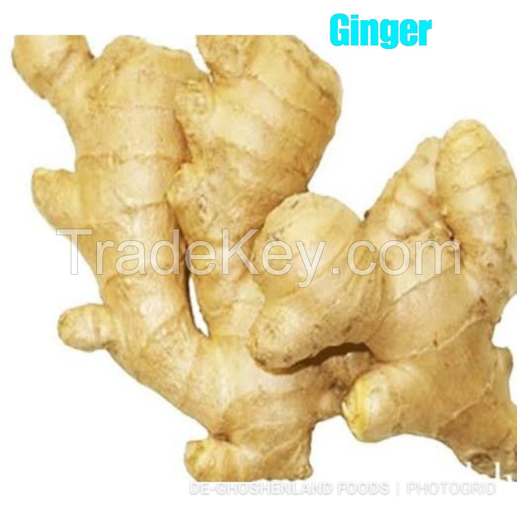 Ginger