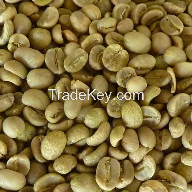 ARABICA COFFEE BEAN SCREEN 18 STANDARD