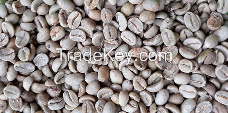 ARABICA COFFEE BEAN SCREEN 16 STANDARD