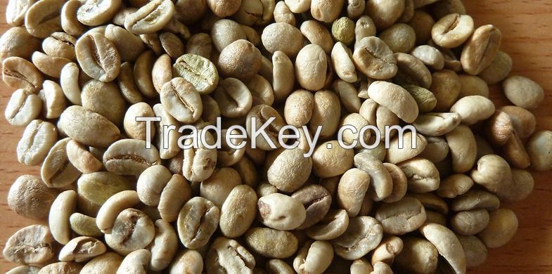 ARABICA COFFEE BEAN SCREEN 16 COLOR SORTER