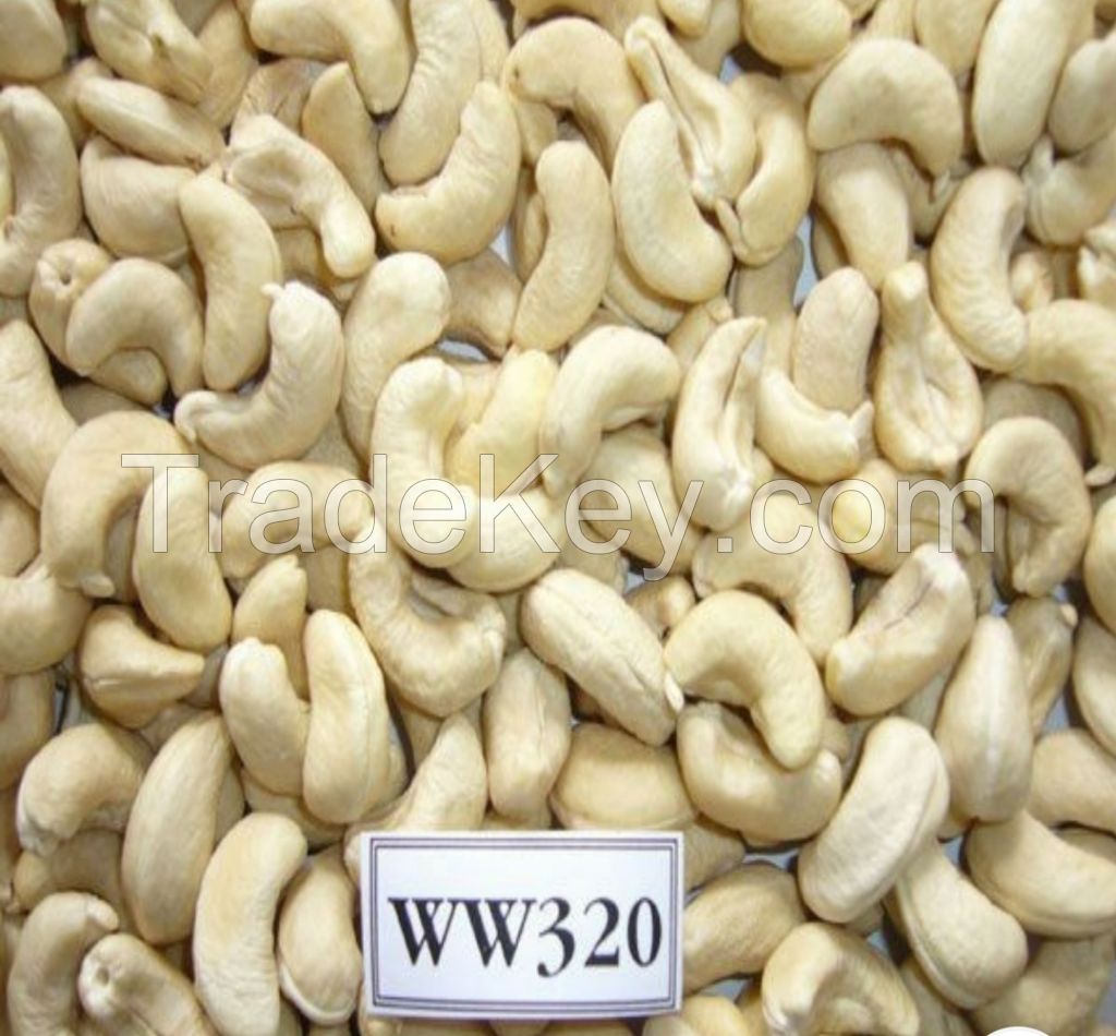 Cashew Nuts 