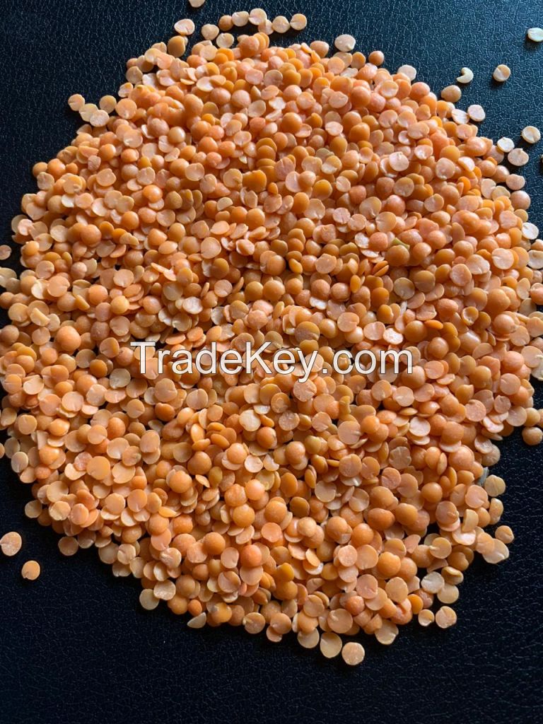 BULK RED LENTILS/ CANADIAN RED LENTILS/ BUY NOW RED LENTILS