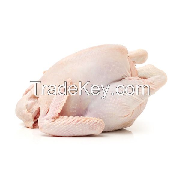 Frozen Chicken &amp; Chicken Parts