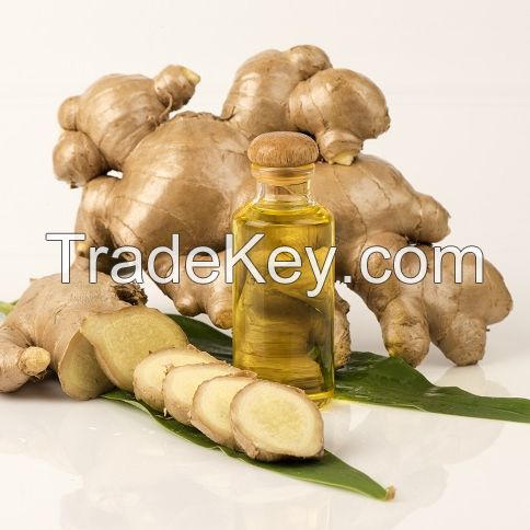 Pure Organic Ginger Oil