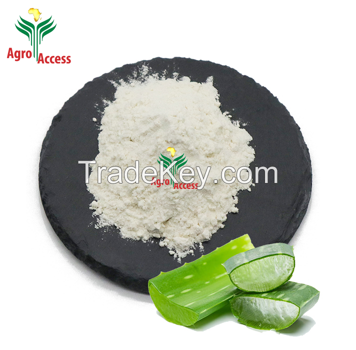 Dried Aloe Vera Gel Powder