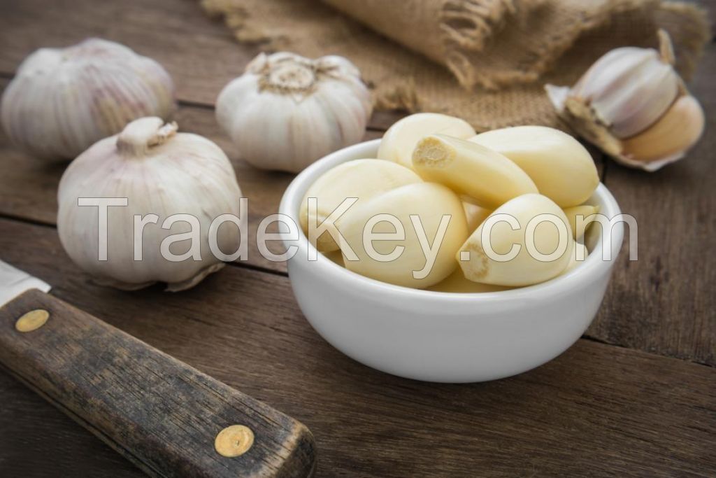 GARLIC